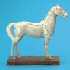 Horse Model