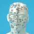 Acupuncture Head Model 