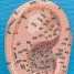 Large Human Ear Model 17cm