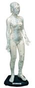 Woman Acupuncture Model 48cm