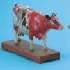 Ox Model