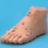 Foot Acupuncture Model, 15cm