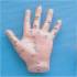Hand Model 14cm