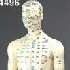 Human Body Model 60cm.