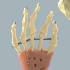 Big Hand - Functional Joint Model.