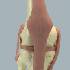 Big Knee Joint Functional Model 