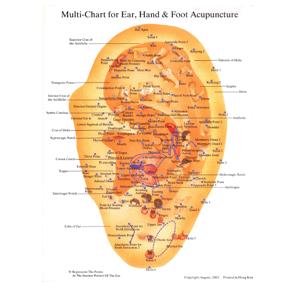 Multi-Chart for Ear, Hand & Foot