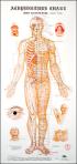 Acupuncture Charts (Wall Type).