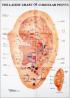 The Latest Chart of Auricular Points