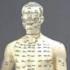 Acupuncture Human Body Model 50cm.